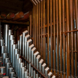 Organ 15